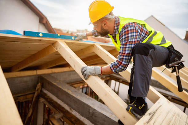 Best Roof Maintenance Services  in Williamsburg, KY