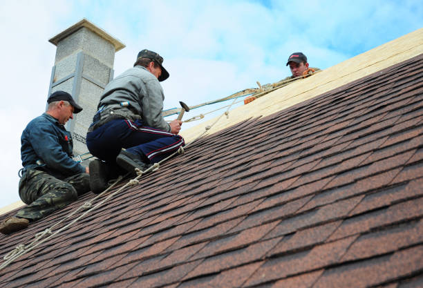 Best Residential Roofing Contractor  in Williamsburg, KY